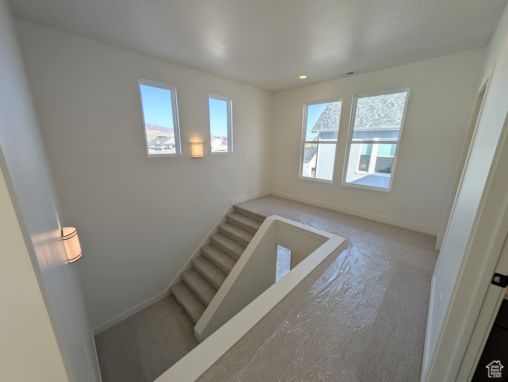 Staircase with carpet floors