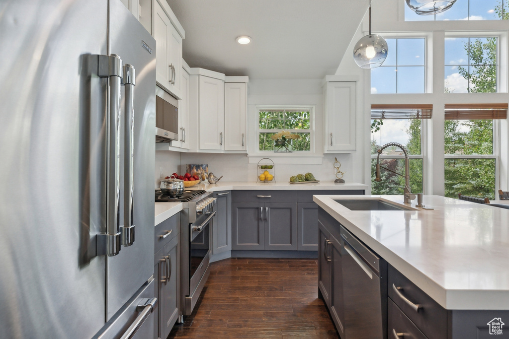 Kitchen with sink, dark hardwood / wood-style flooring, plenty of natural light, and high end appliances