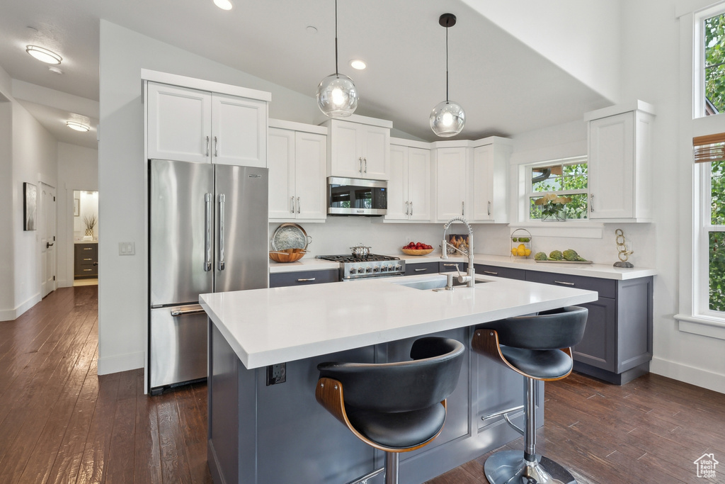 Kitchen featuring appliances with stainless steel finishes, a healthy amount of sunlight, and dark wood-type flooring