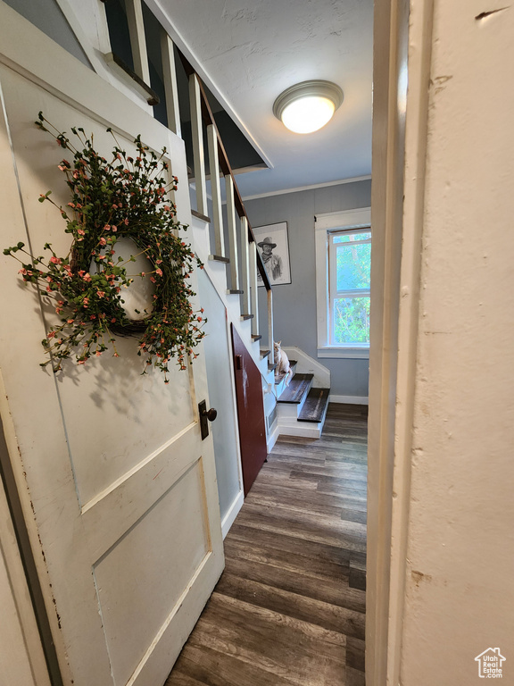 Interior space with wood-type flooring and crown molding