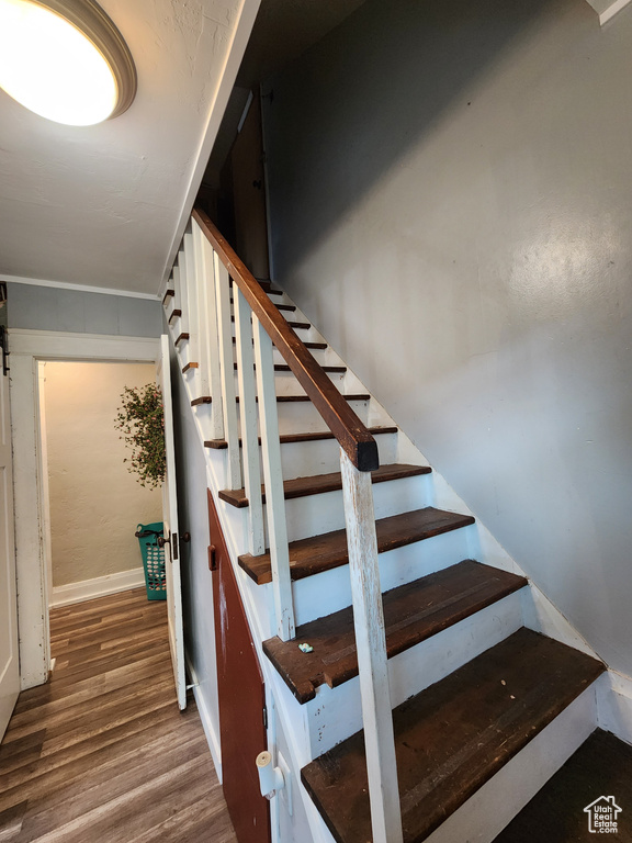 Stairs with wood-type flooring