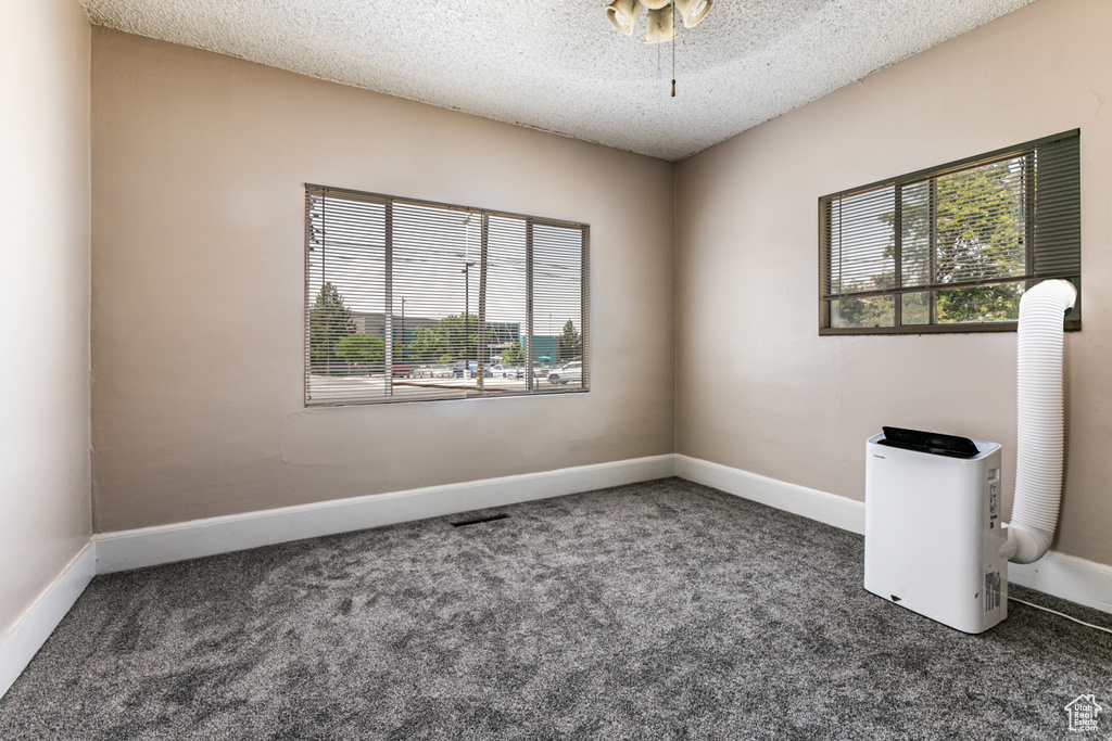 Empty room with a healthy amount of sunlight, carpet floors, and a textured ceiling