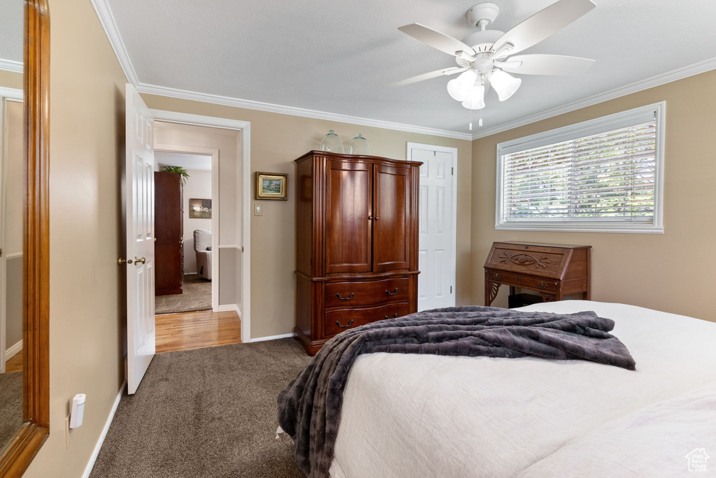 Bedroom with light carpet, ceiling fan, ornamental molding, and a closet