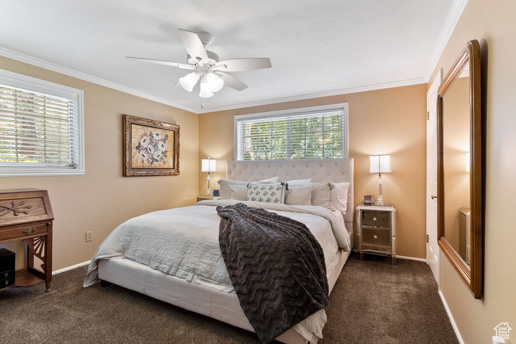 Carpeted bedroom with ceiling fan and crown molding