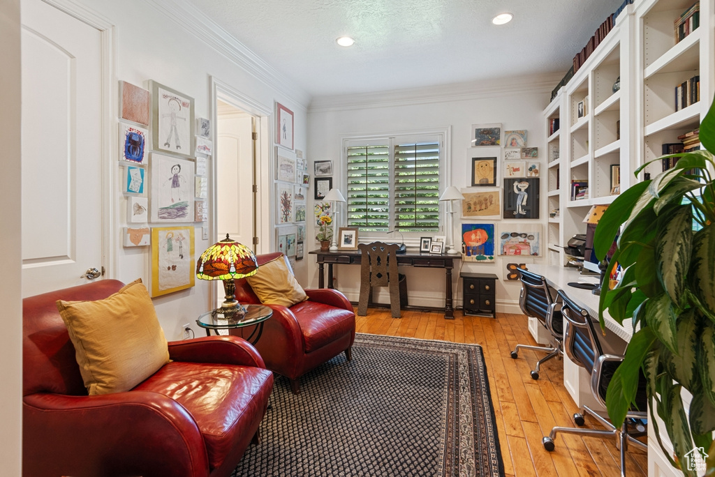 Living area featuring light hardwood / wood-style floors and ornamental molding