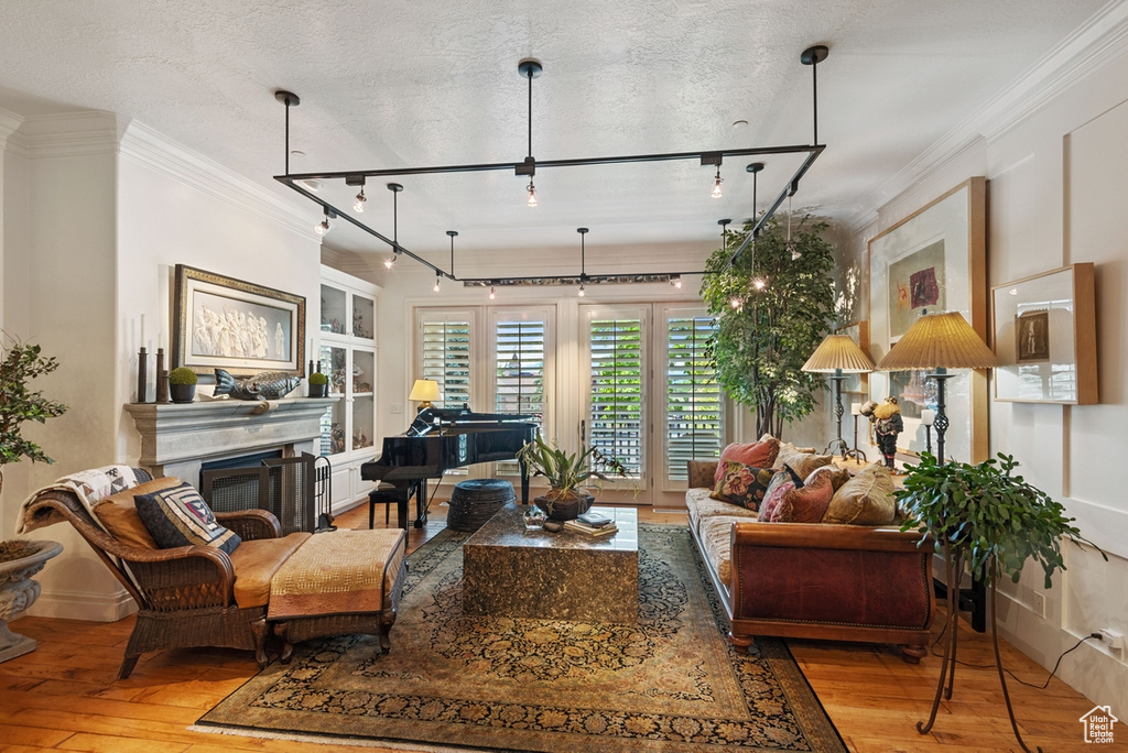 Living room featuring crown molding, light hardwood / wood-style floors, a textured ceiling, and rail lighting