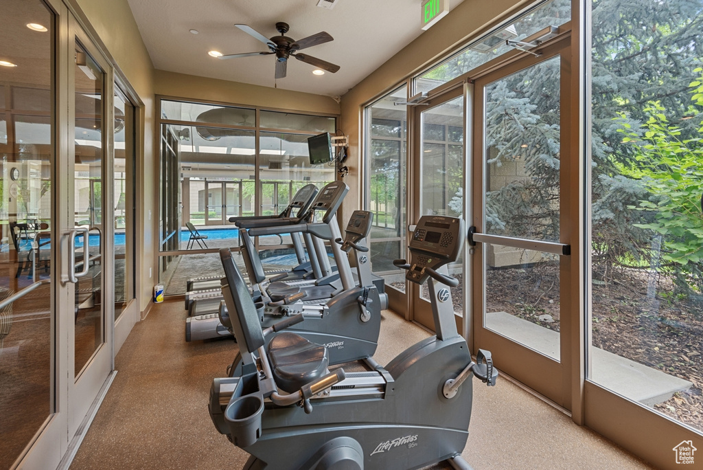 Interior space featuring a wealth of natural light, carpet flooring, and ceiling fan