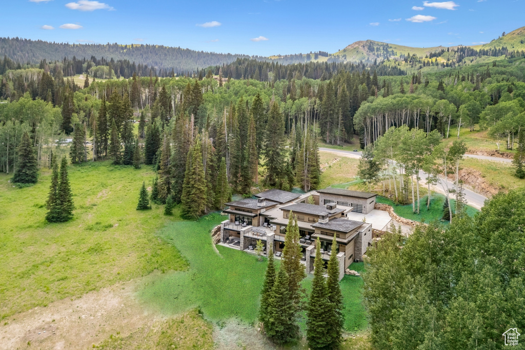 Drone / aerial view with a mountain view