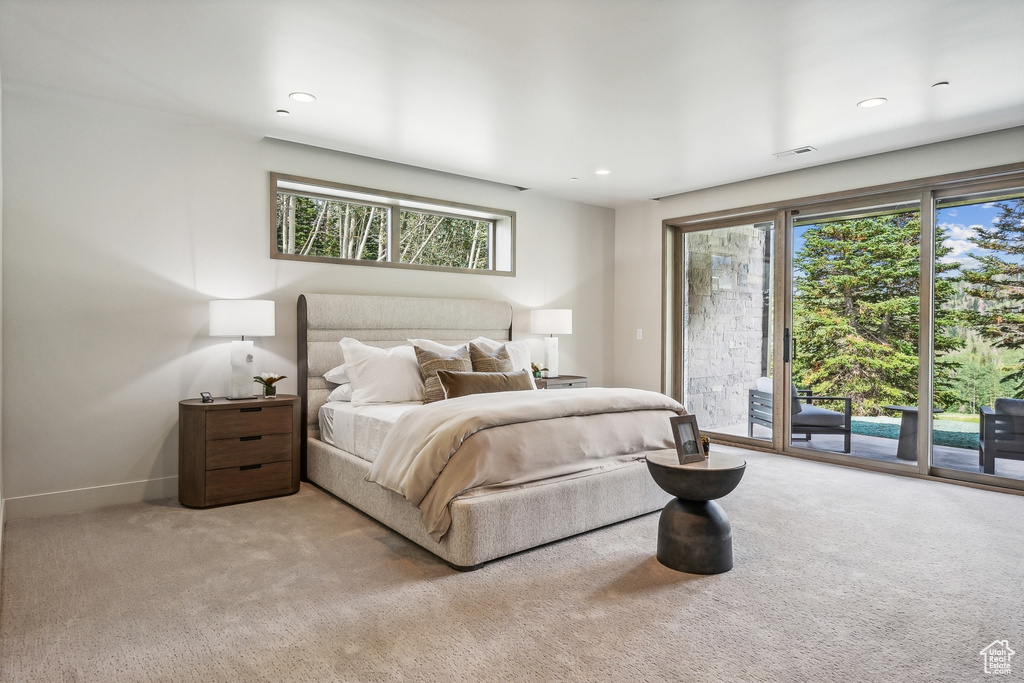 Carpeted bedroom featuring multiple windows and access to exterior