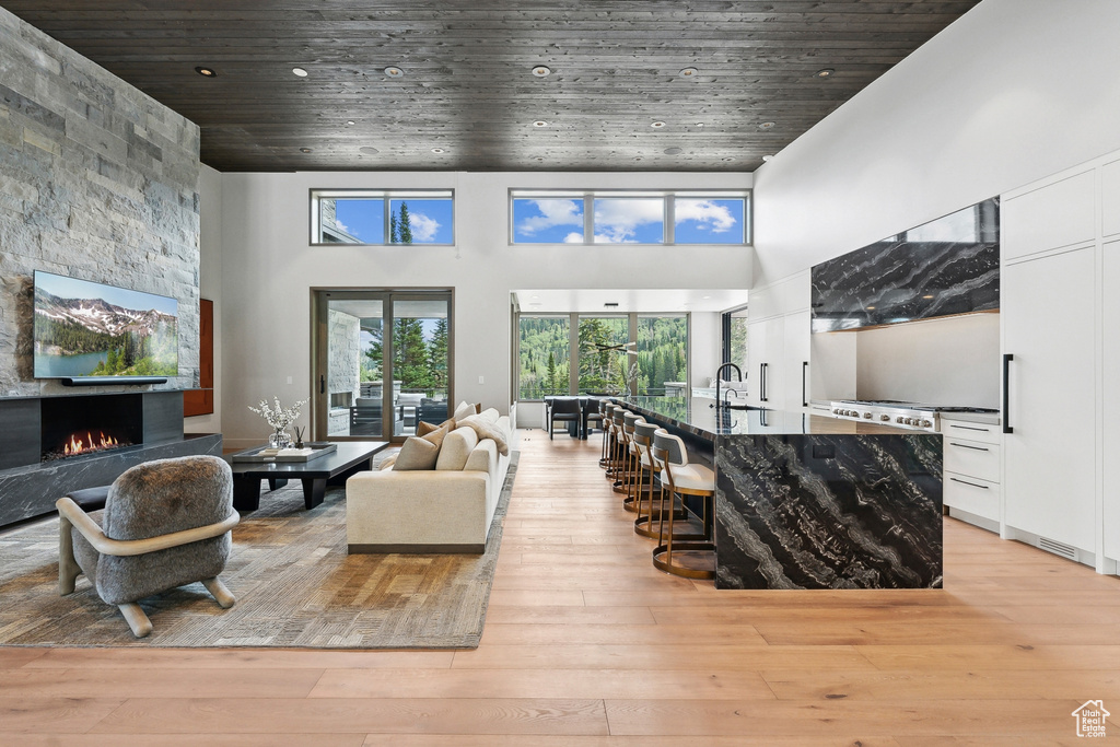 Living room with light hardwood / wood-style flooring, a fireplace, and a towering ceiling