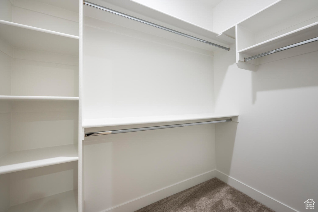 Walk in closet featuring carpet floors