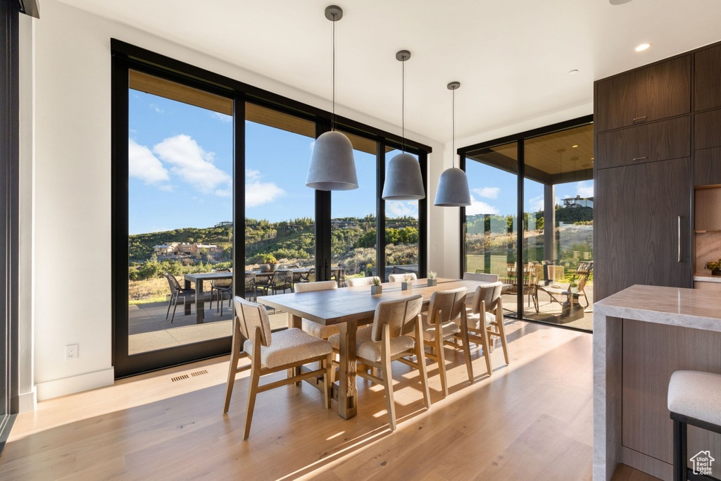 Dining area with light hardwood / wood-style flooring, a healthy amount of sunlight, and floor to ceiling windows