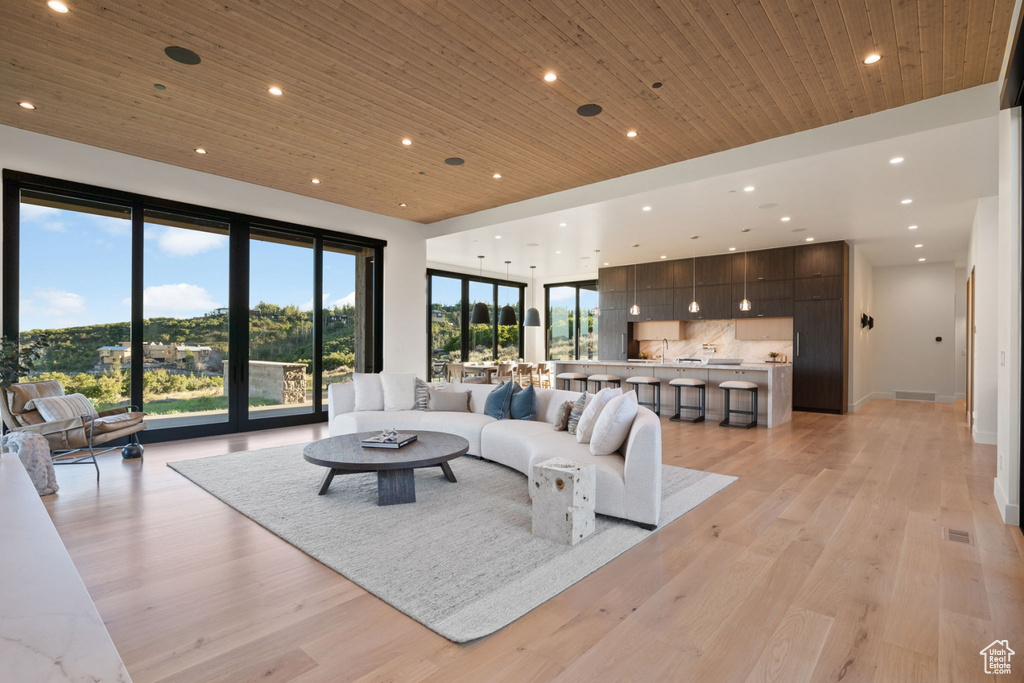 Living room with light wood-type flooring and wooden ceiling