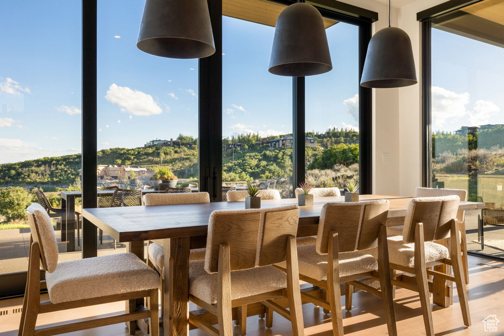 Dining area with a wealth of natural light, floor to ceiling windows, and light wood-type flooring