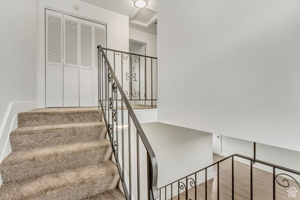 Staircase with hardwood / wood-style flooring