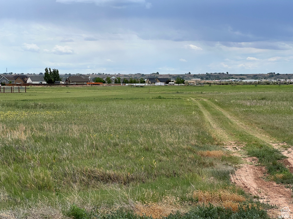 View of nature