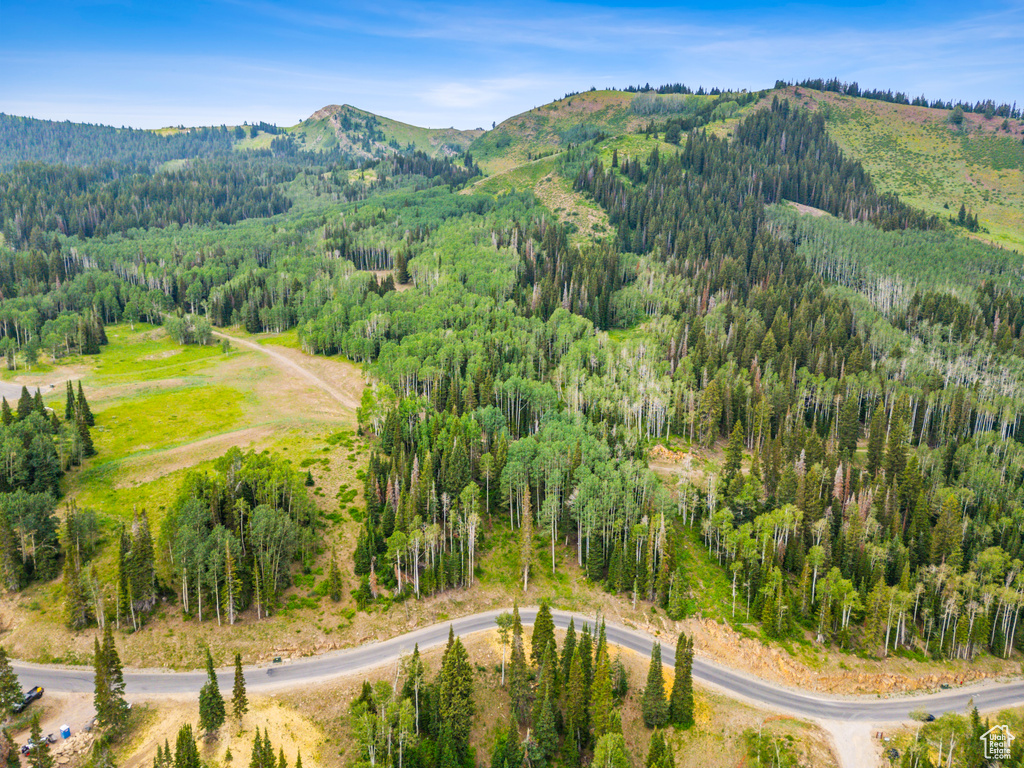 Aerial view with a mountain view