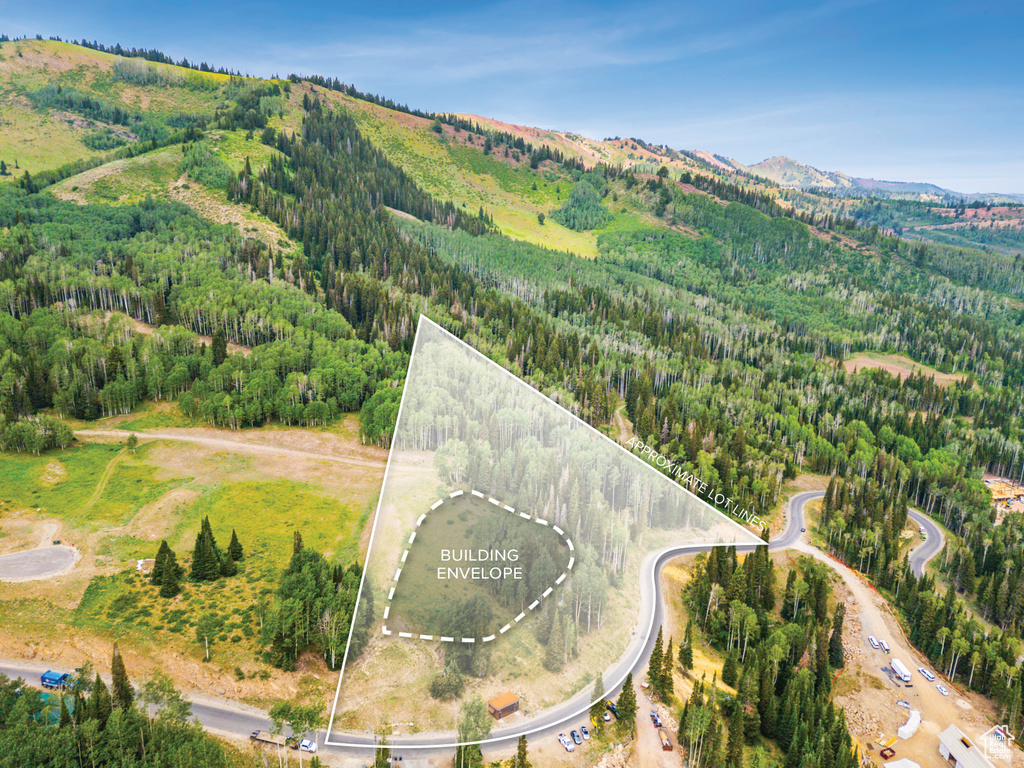 Aerial view featuring a mountain view