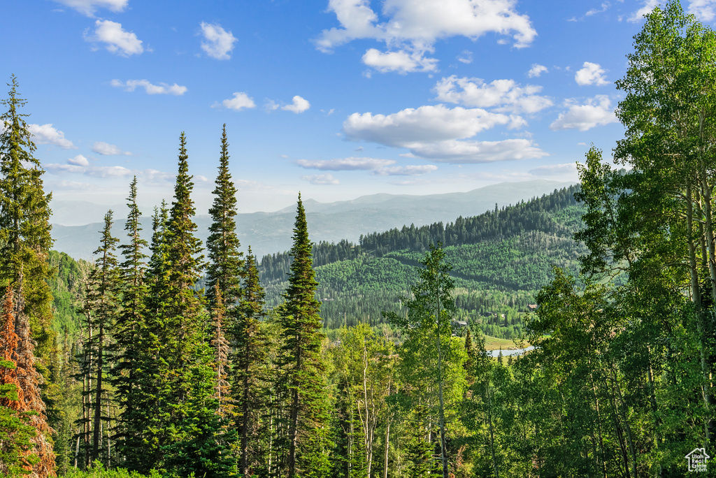 View of mountain feature