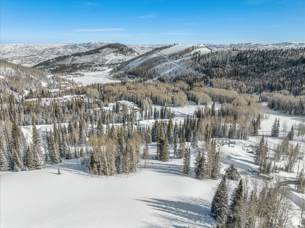 Snowy aerial view featuring a mountain view