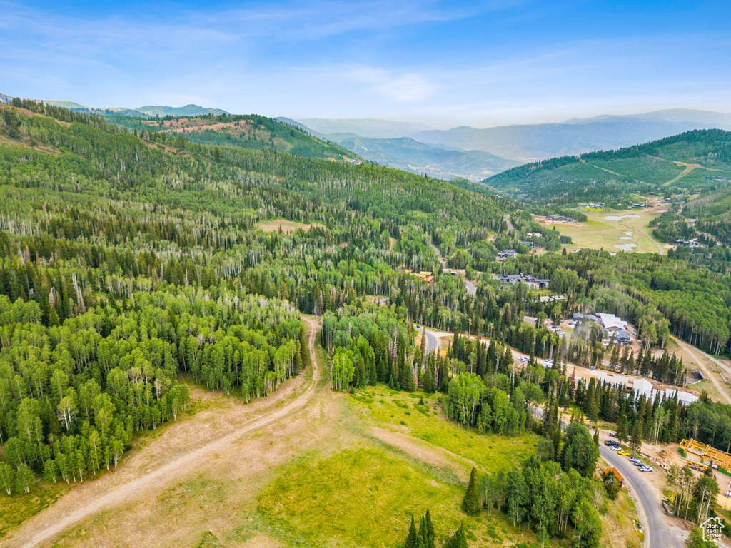 Drone / aerial view with a mountain view