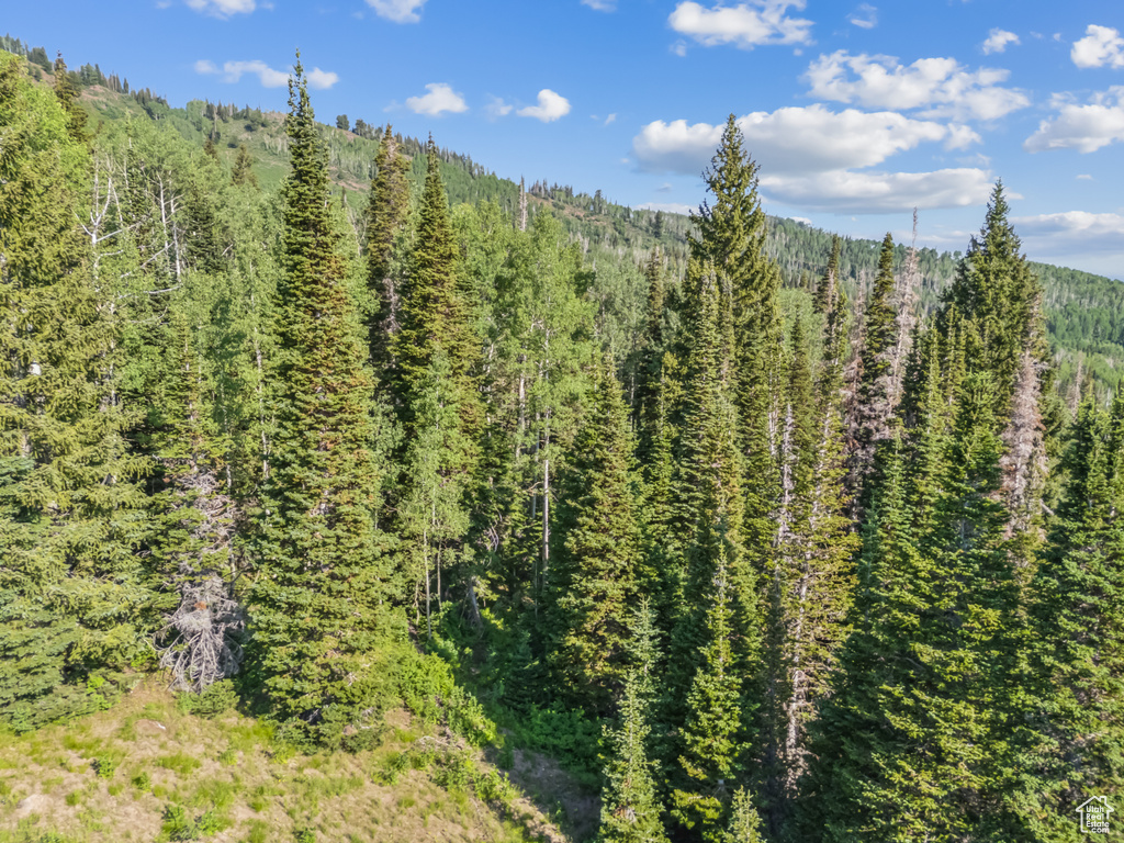 View of mountain feature