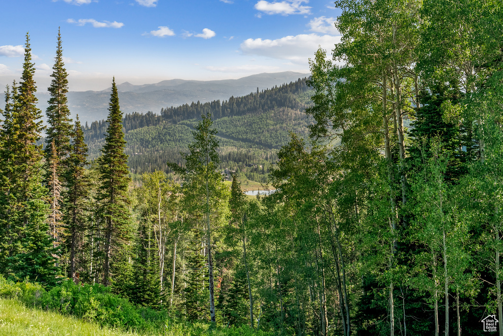 Property view of mountains