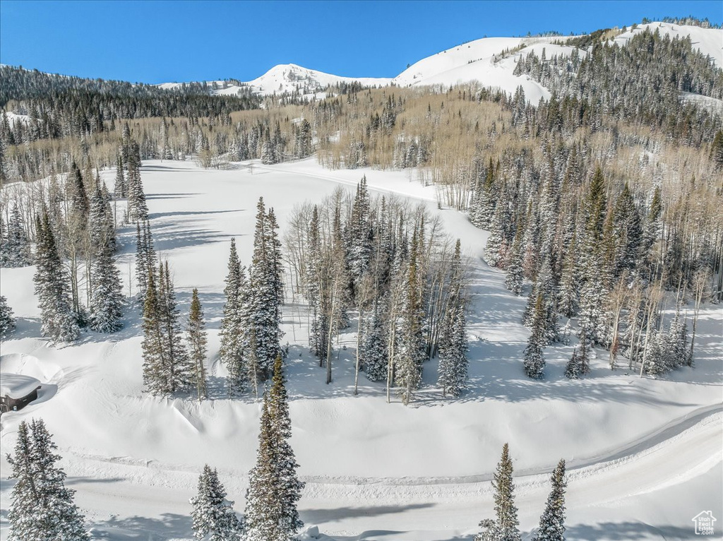 View of mountain feature