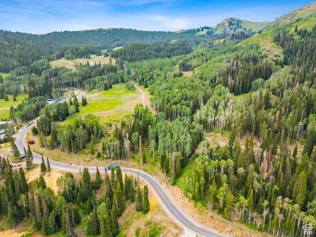 Bird\'s eye view with a mountain view