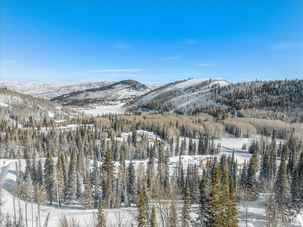 View of mountain feature