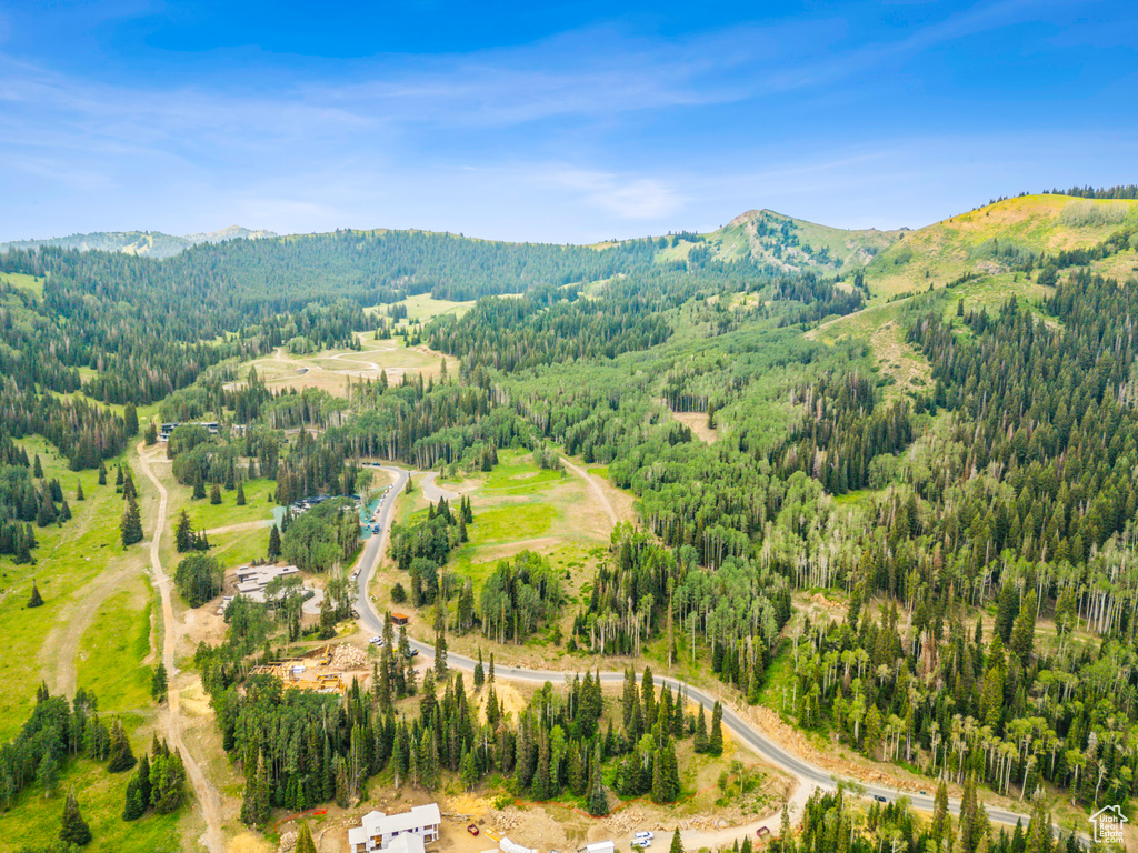 Aerial view with a mountain view