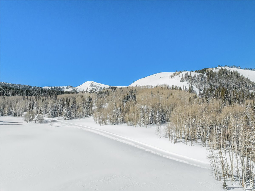 View of mountain feature