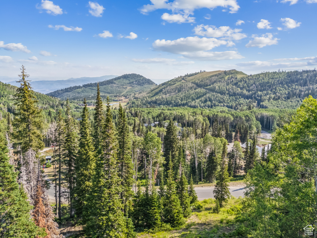 View of mountain feature