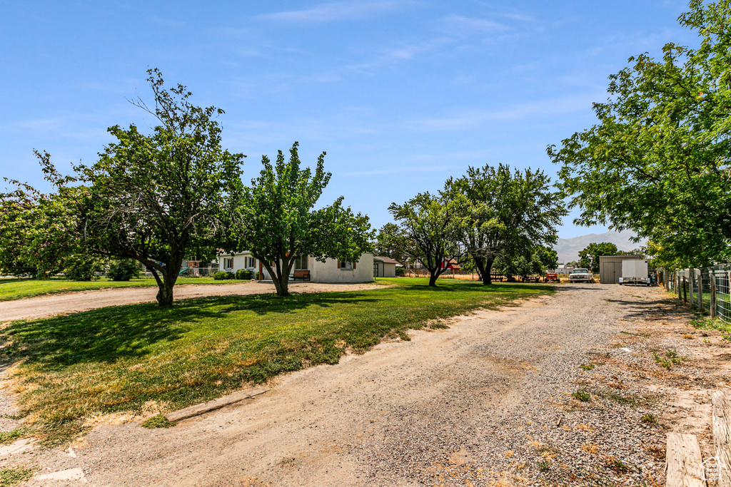 View of road