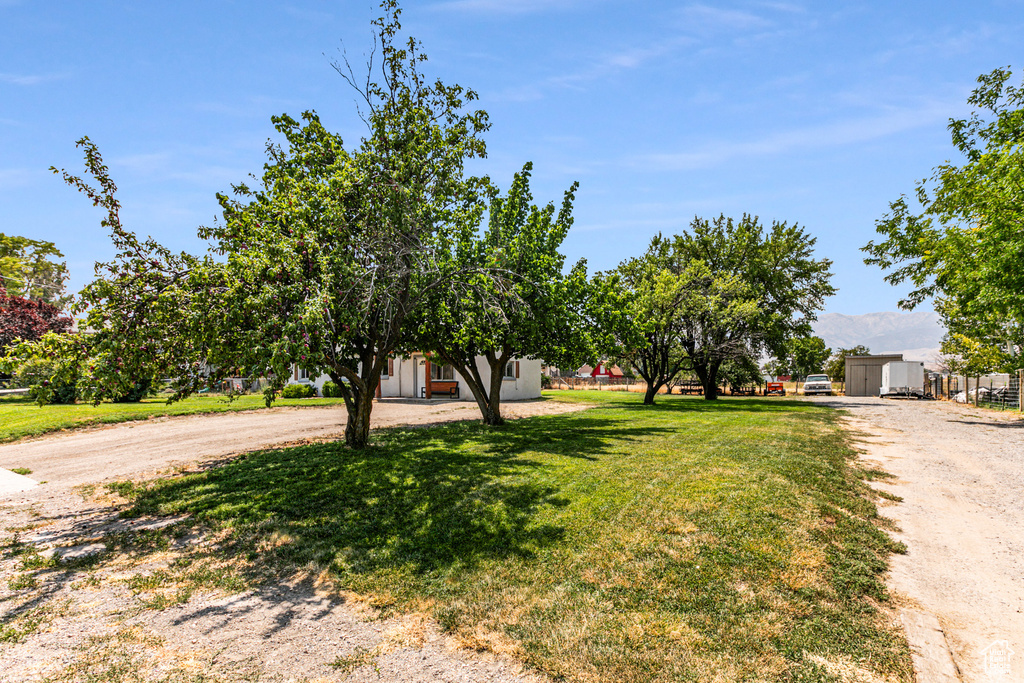 View of property hidden behind natural elements with a front yard