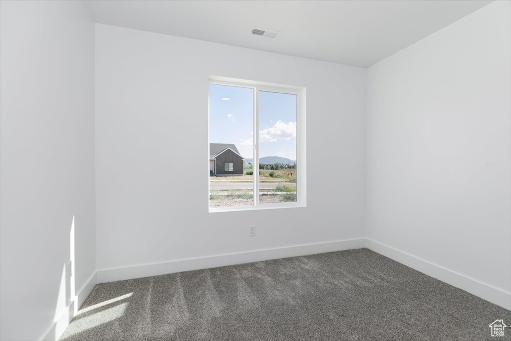 Carpeted spare room with a wealth of natural light