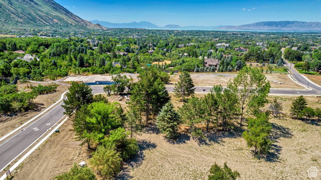 Bird's eye view featuring a mountain view