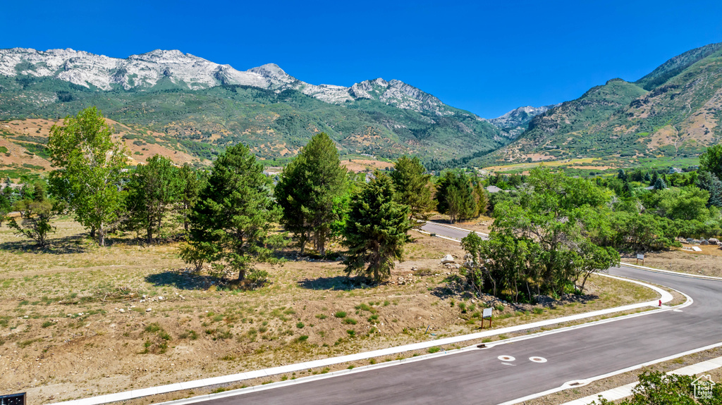 Property view of mountains