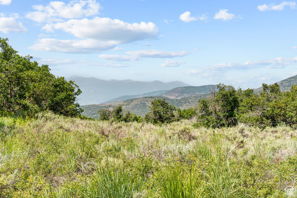 Property view of mountains