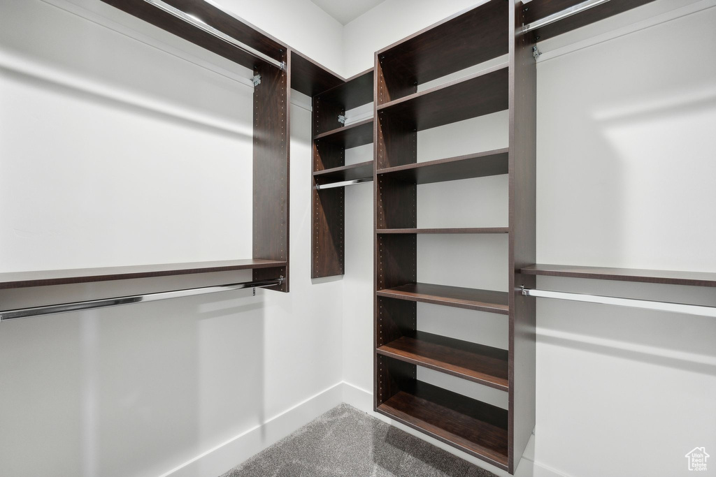 Walk in closet featuring carpet floors