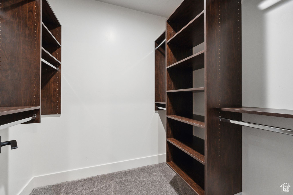 Spacious closet featuring carpet flooring