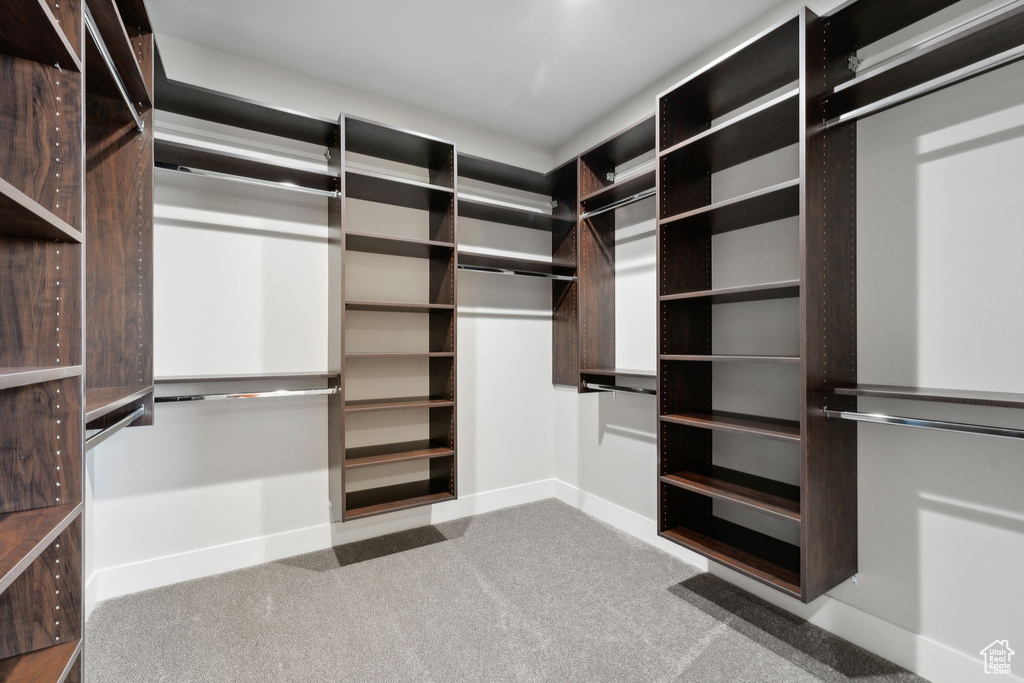 Spacious closet featuring carpet flooring