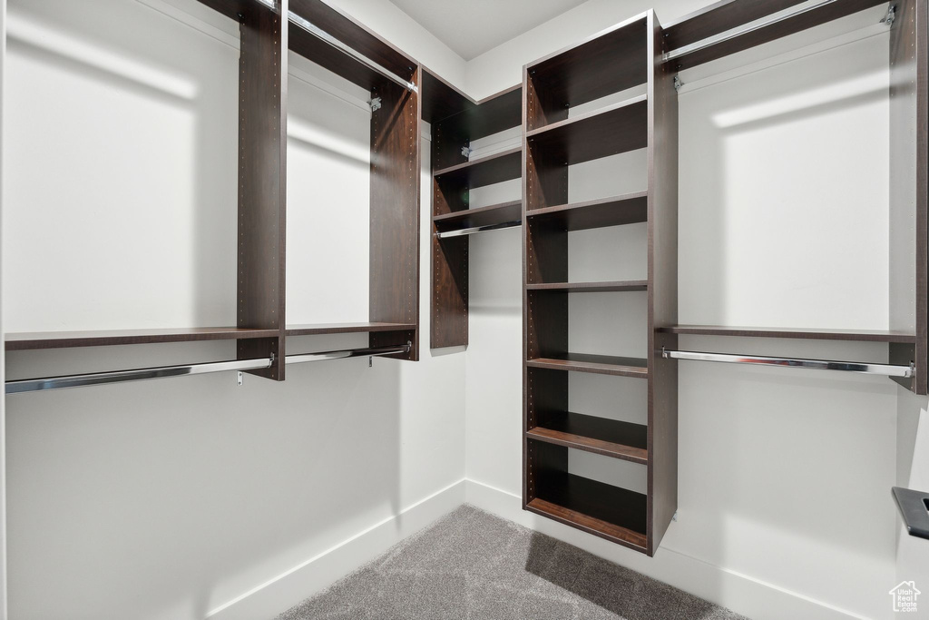 Spacious closet with carpet flooring