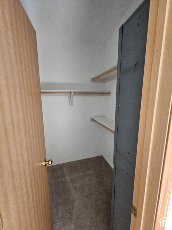 Spacious closet with carpet