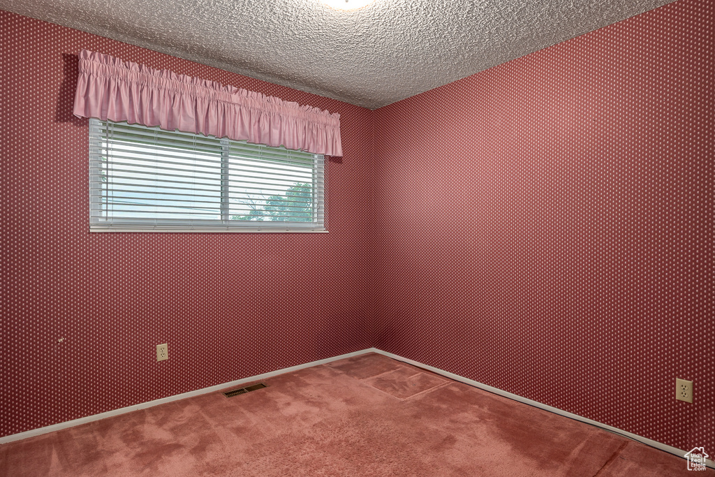 Unfurnished room featuring carpet flooring and a textured ceiling