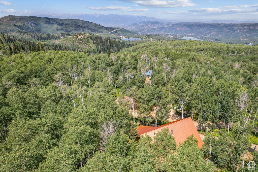 Drone / aerial view with a mountain view