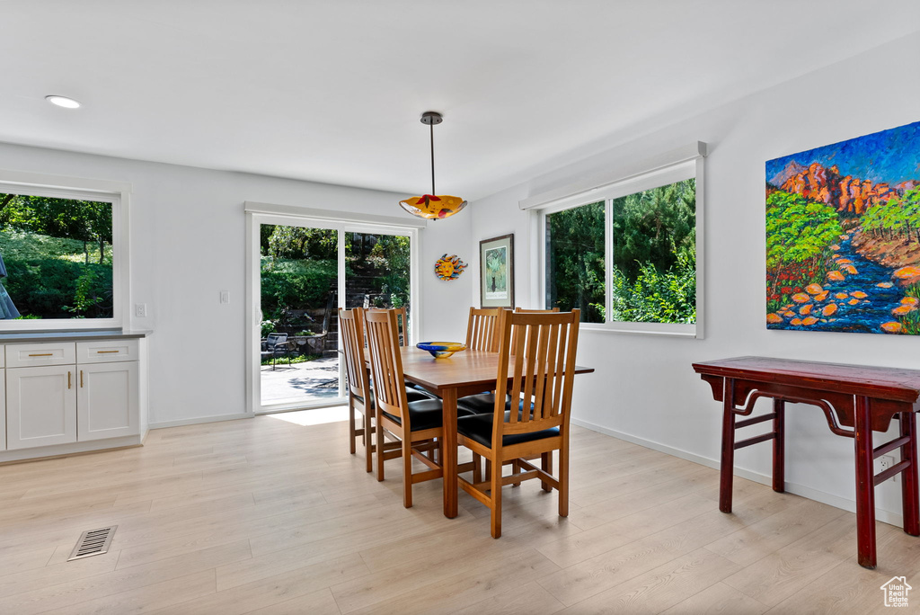 Dining room with light wood-type flooring and a wealth of natural light