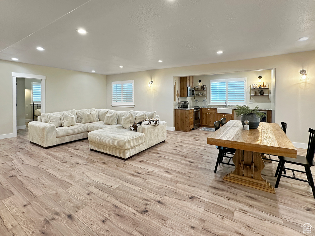 Living room featuring a healthy amount of sunlight, light hardwood / wood-style floors, and sink