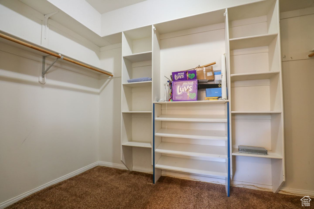 Walk in closet with carpet floors