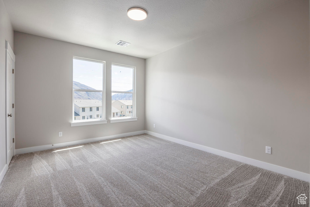 Spare room with light carpet